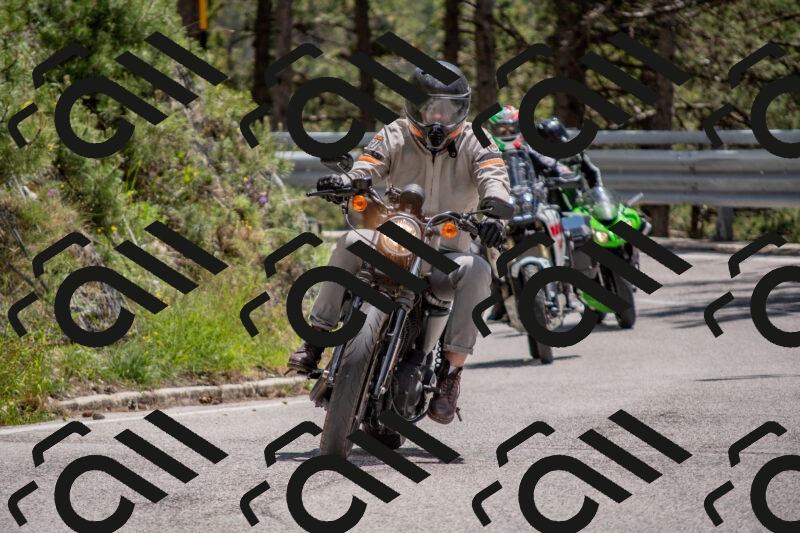 202506011323-DSC_5732_c4_