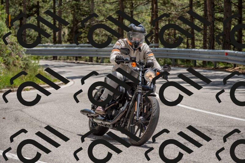 202506011323-DSC_5733_c4_