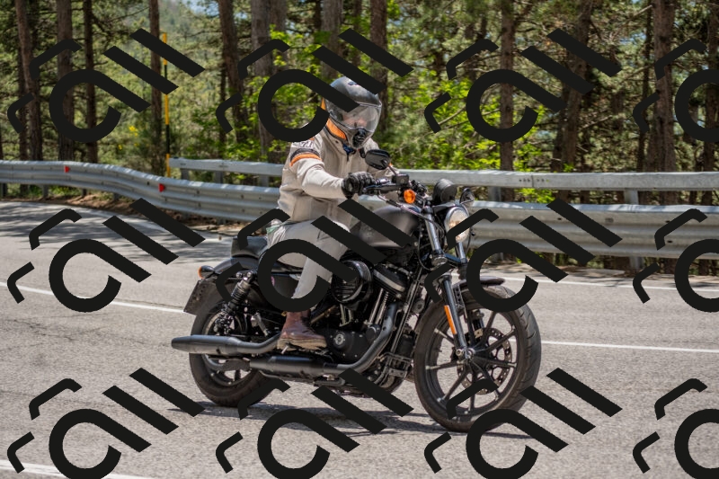 202506011323-DSC_5734_c4_