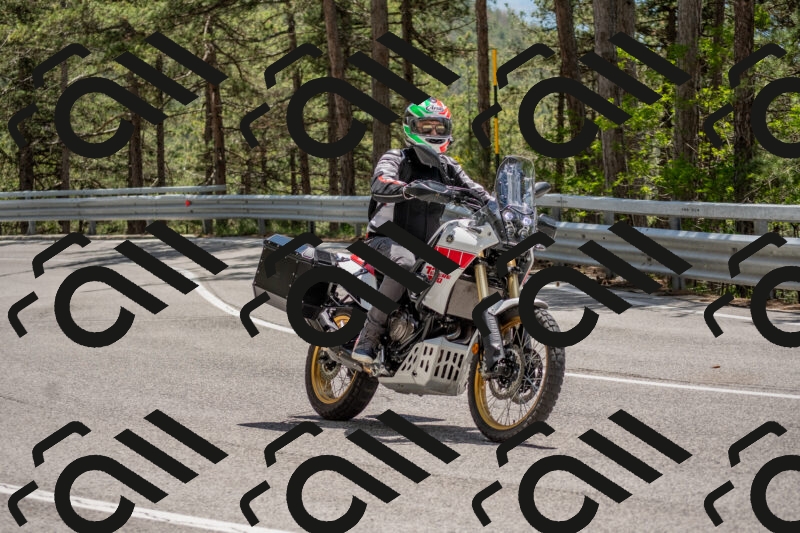 202506011323-DSC_5735_c4_