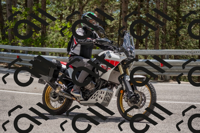 202506011323-DSC_5736_c4_