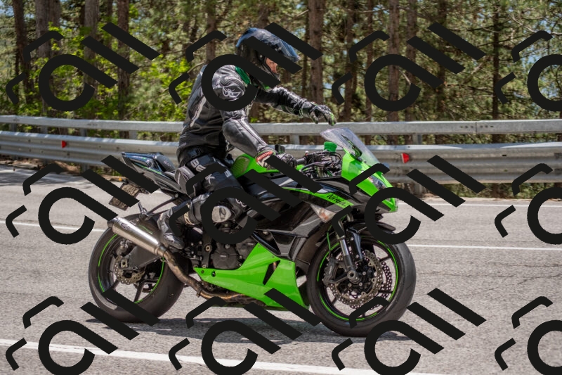 202506011323-DSC_5738_c4_