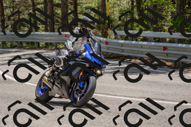 202506011323-DSC_5742_c4_