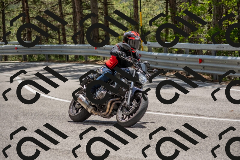 202506011323-DSC_5743_c4_