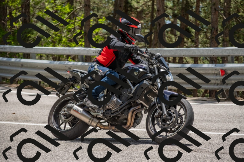 202506011323-DSC_5744_c4_