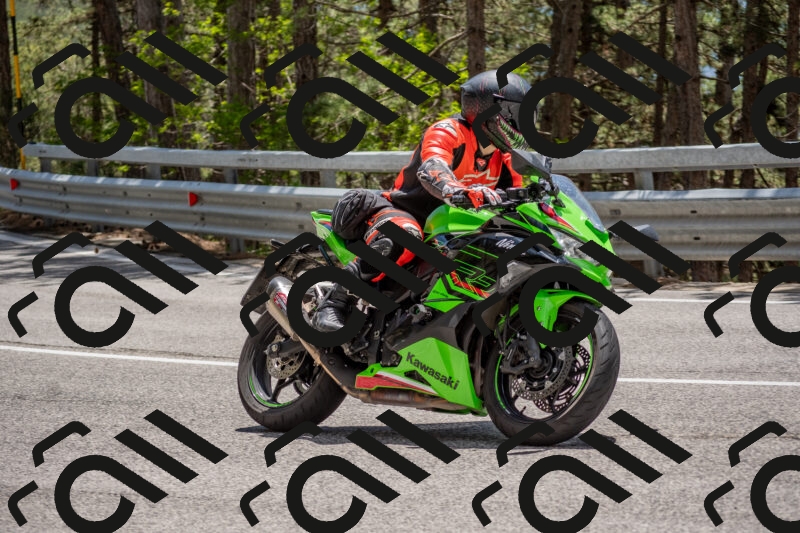 202506011323-DSC_5746_c4_