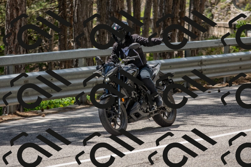 202506011324-DSC_5751_c4_