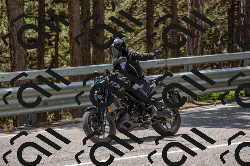 202506011324-DSC_5752_c4_