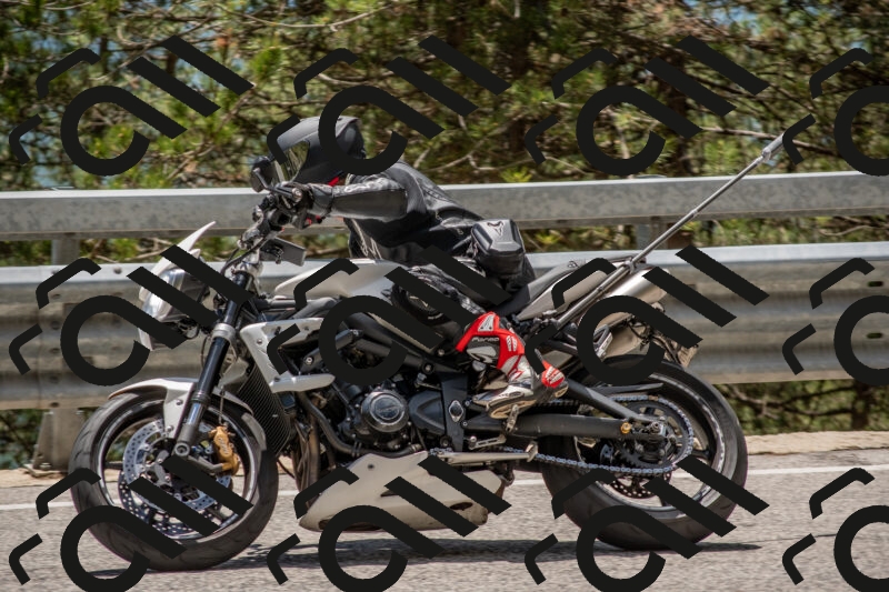 202506011324-DSC_5758_c4_