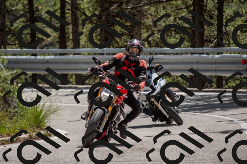 202506011325-DSC_5764_c4_