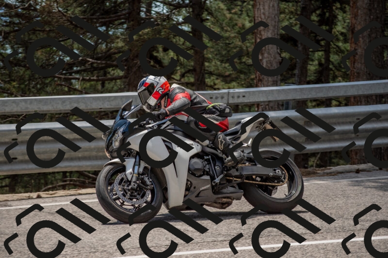 202506011326-DSC_5778_c4_