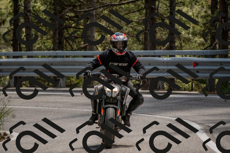 202506011327-DSC_5787_c4_