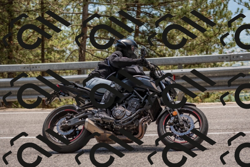 202506011327-DSC_5796_c4_