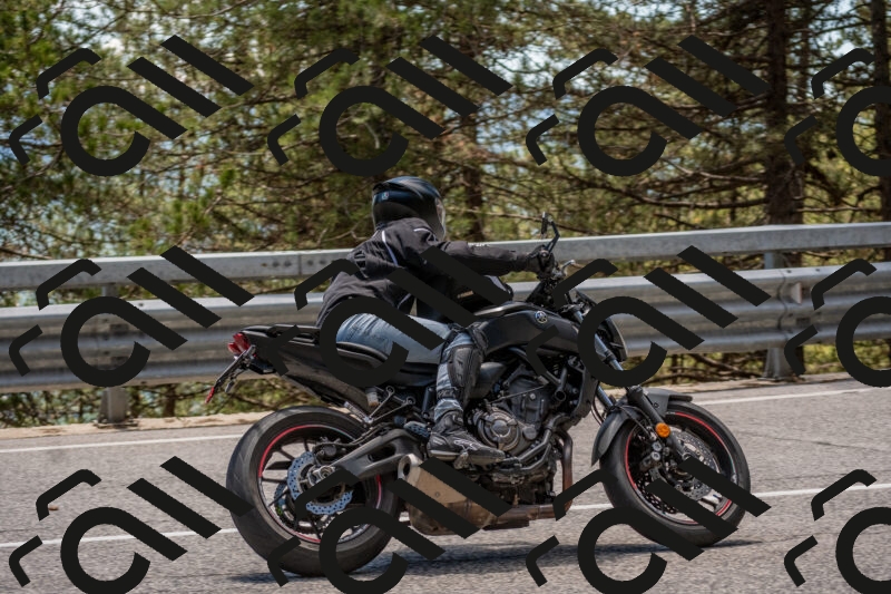 202506011327-DSC_5797_c4_