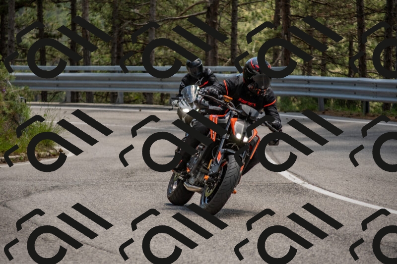 202506011328-DSC_5800_c4_