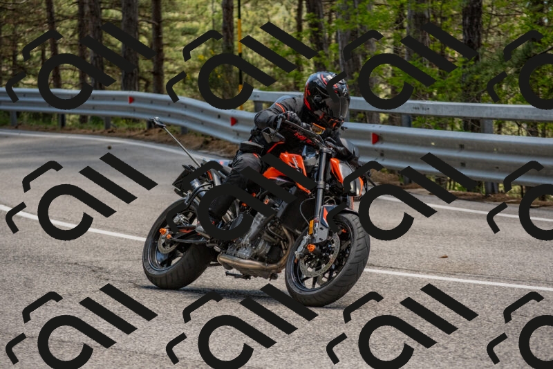 202506011328-DSC_5801_c4_