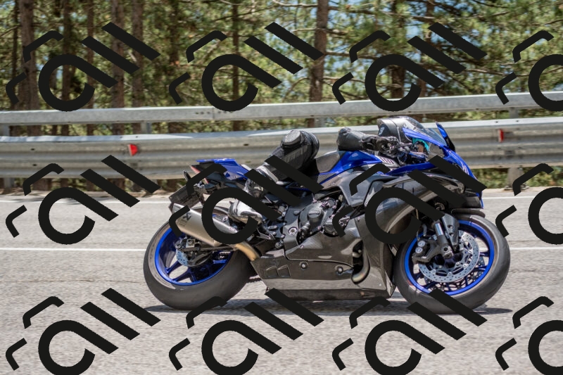 202506011329-DSC_5810_c4_