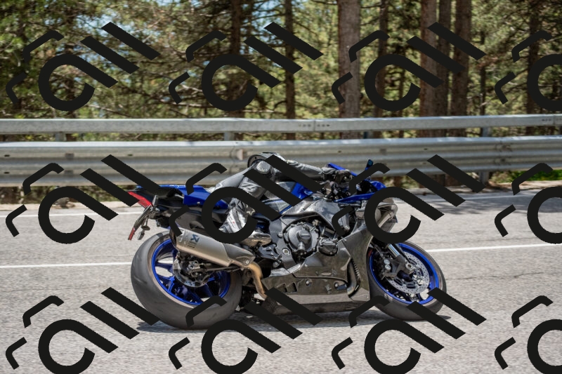 202506011329-DSC_5811_c4_