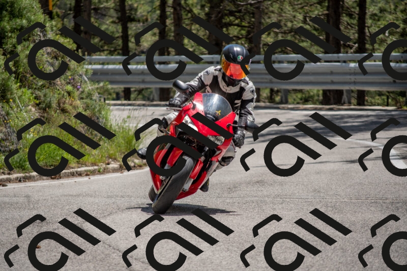 202506011329-DSC_5816_c4_