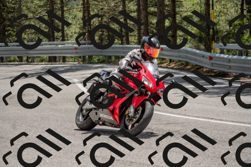 202506011329-DSC_5817_c4_