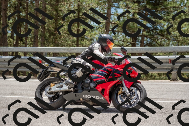 202506011329-DSC_5818_c4_