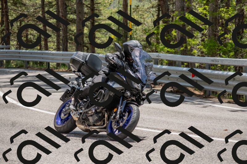 202506011330-DSC_5822_c4_