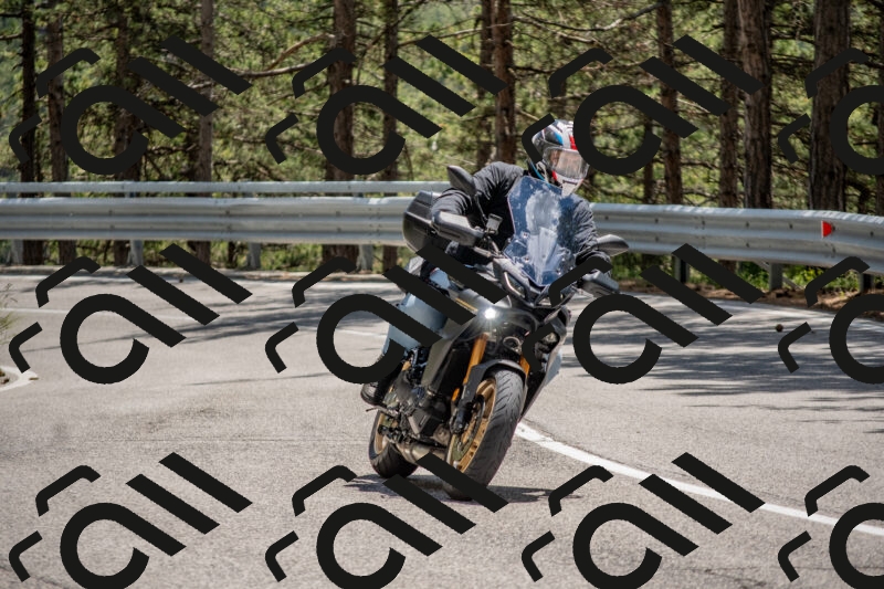 202506011330-DSC_5824_c4_