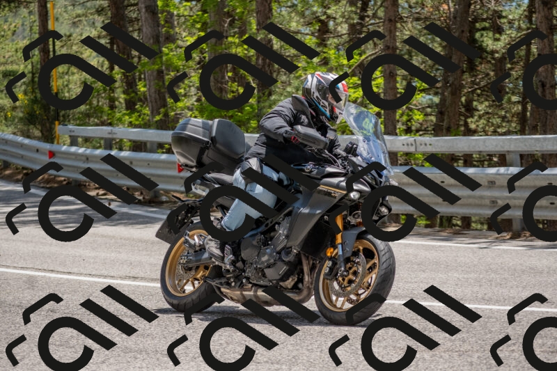 202506011330-DSC_5825_c4_