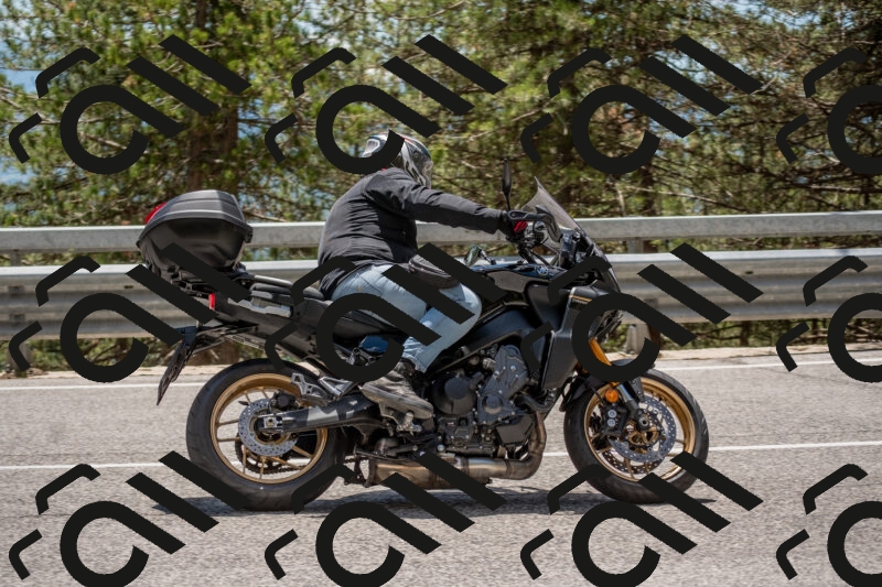 202506011330-DSC_5826_c4_