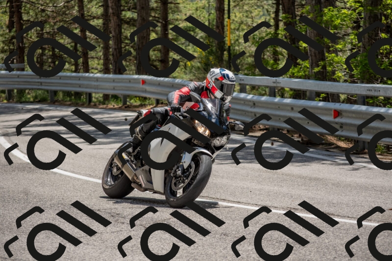 202506011330-DSC_5831_c4_