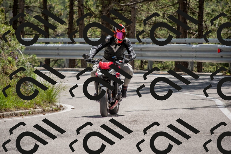 202506011330-DSC_5835_c4_