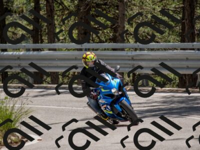 202506011331-DSC_5839_c4_