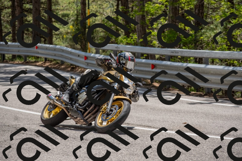 202506011331-DSC_5845_c4_