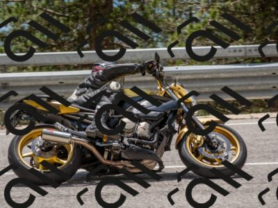 202506011331-DSC_5846_c4_