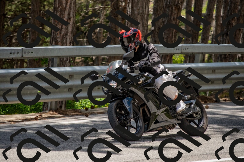 202506011332-DSC_5854_c4_