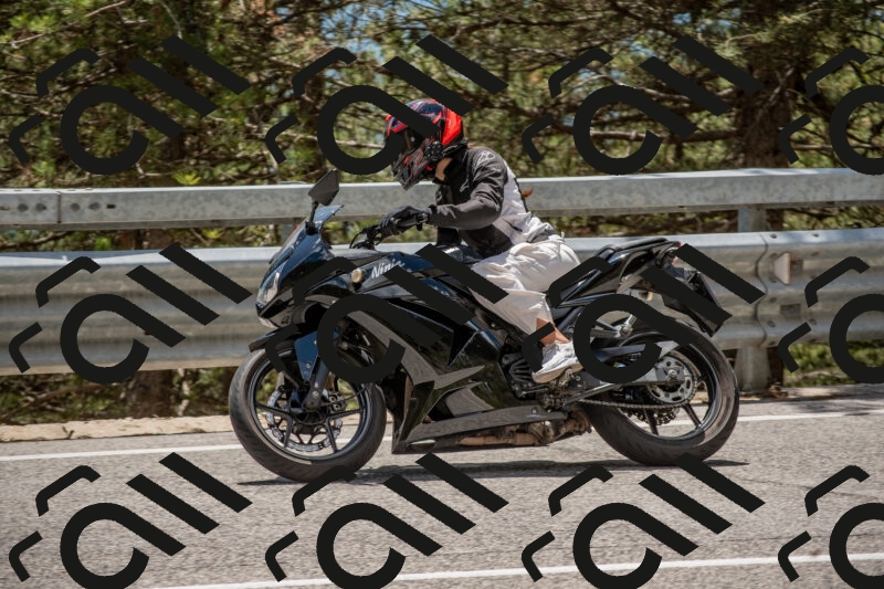 202506011332-DSC_5855_c4_