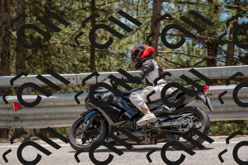 202506011332-DSC_5856_c4_