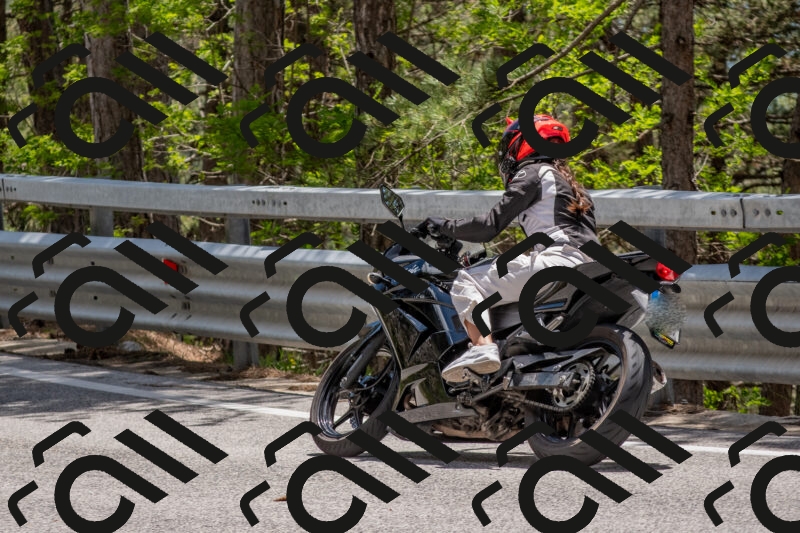 202506011332-DSC_5857_c4_