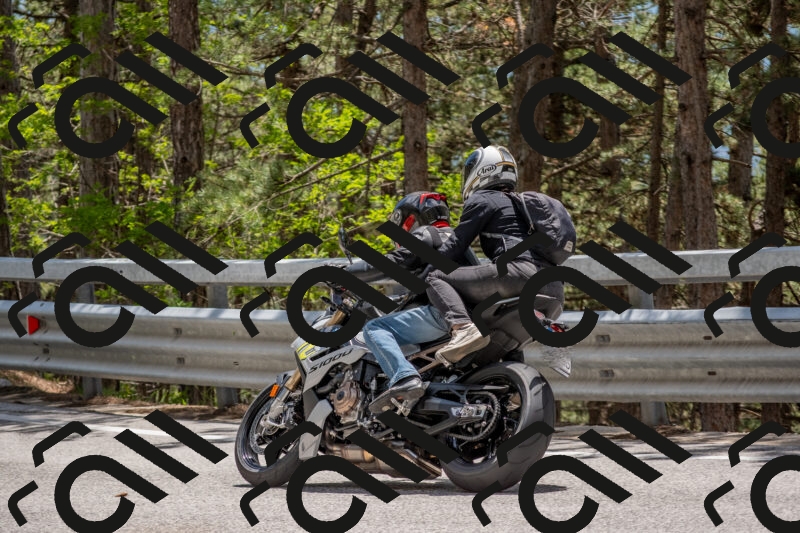 202506011332-DSC_5861_c4_