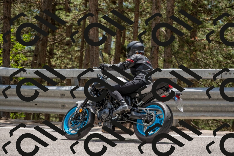 202506011333-DSC_5865_c4_