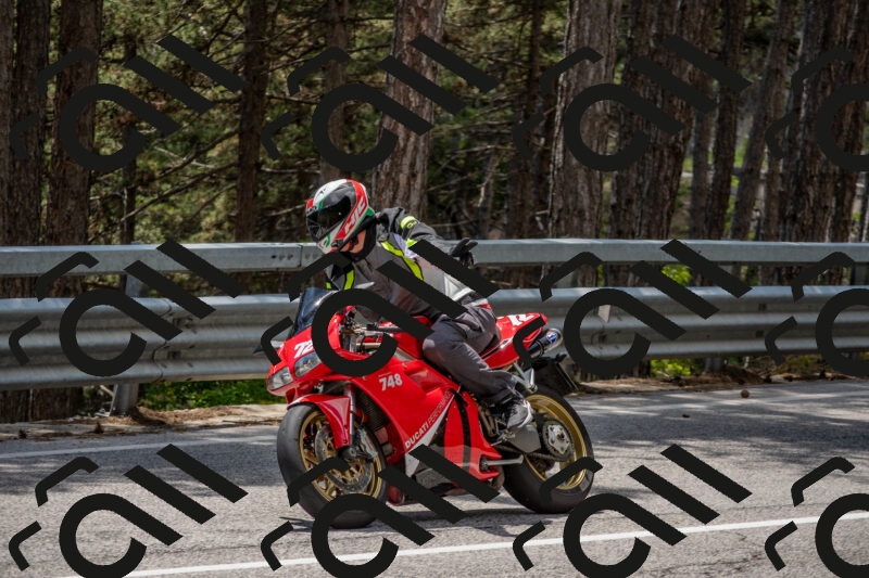 202506011333-DSC_5868_c4_