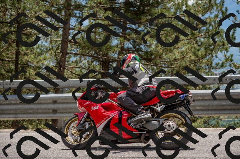 202506011333-DSC_5870_c4_