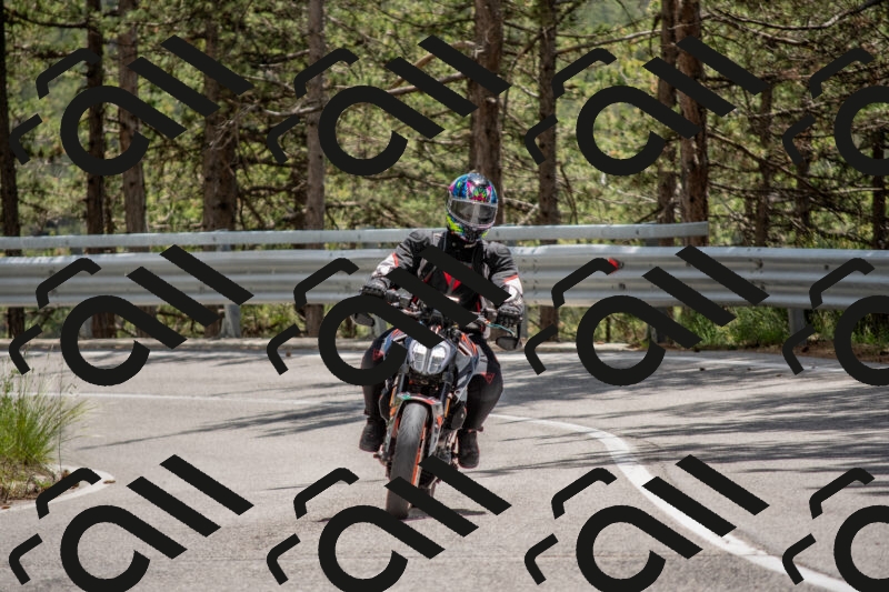 202506011335-DSC_5875_c4_