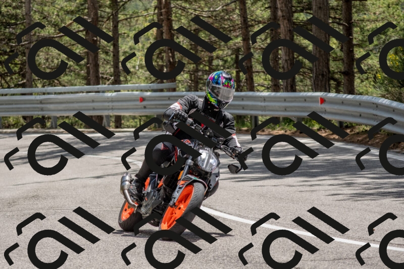 202506011335-DSC_5876_c4_