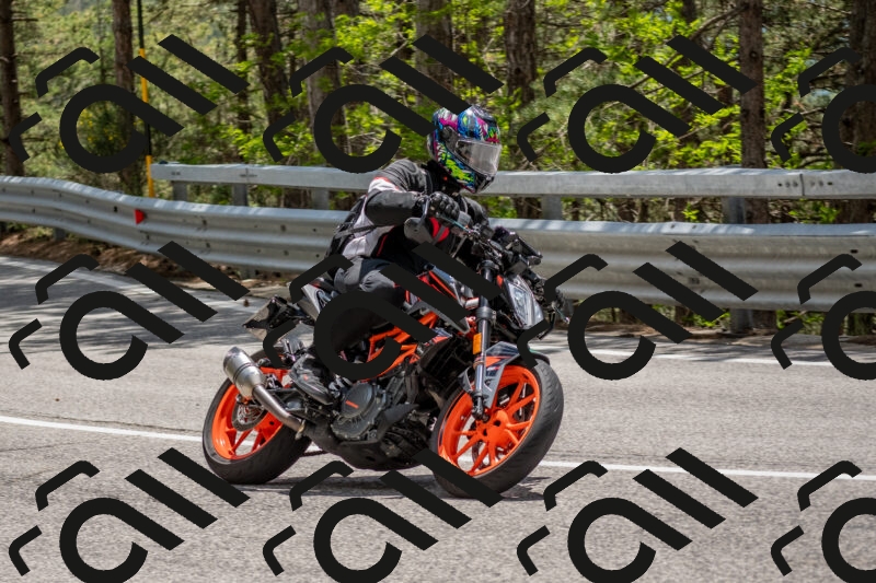 202506011335-DSC_5877_c4_