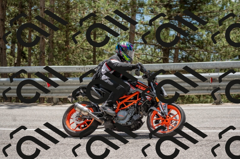 202506011335-DSC_5878_c4_