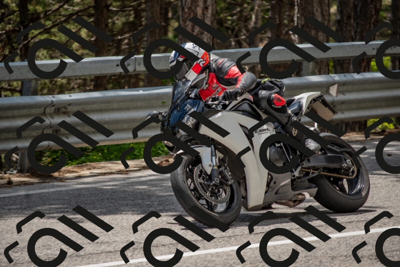 202506011336-DSC_5880_c4_