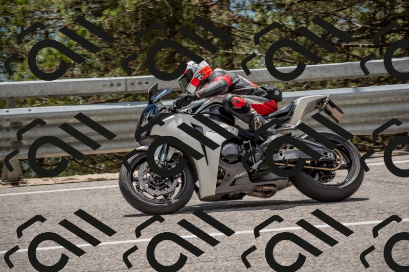 202506011336-DSC_5881_c4_