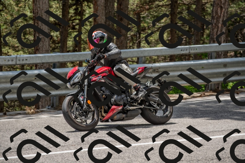 202506011336-DSC_5882_c4_