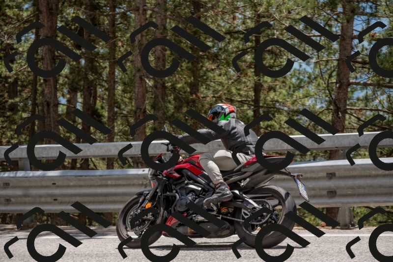 202506011336-DSC_5884_c4_